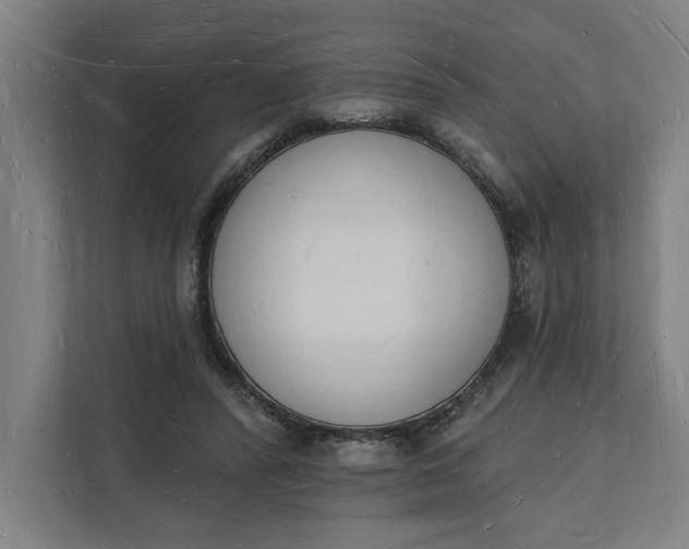 X0000112140400200908211357