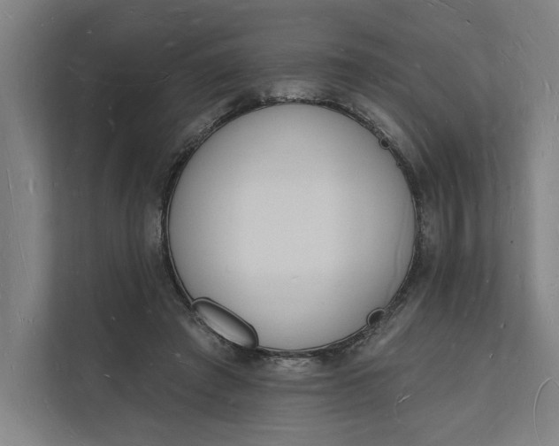 X0000112140401200908211357