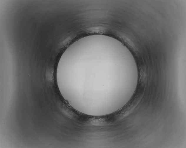 X0000112140403200908211357