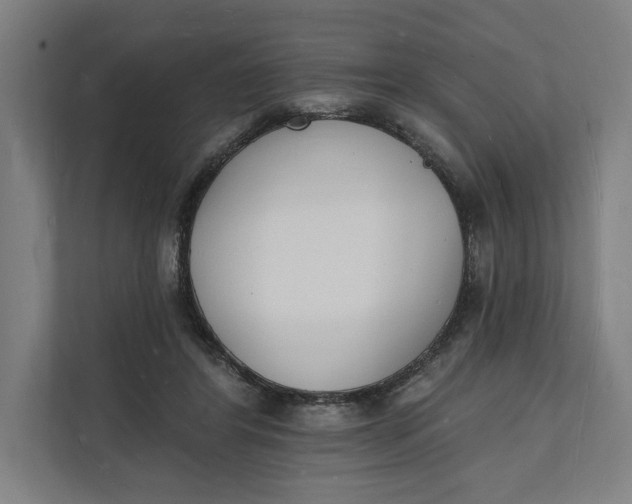 X0000112140404200908211357