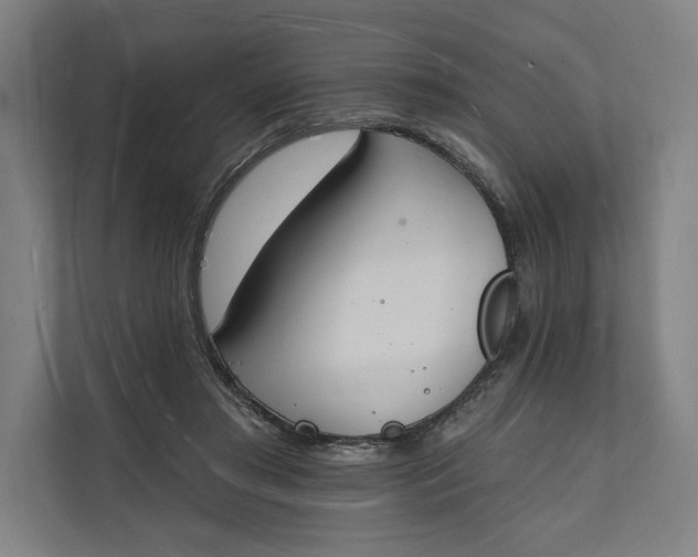 X0000112140405200908211357