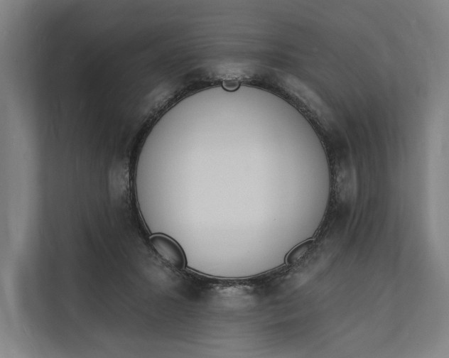 X0000112140407200908211357