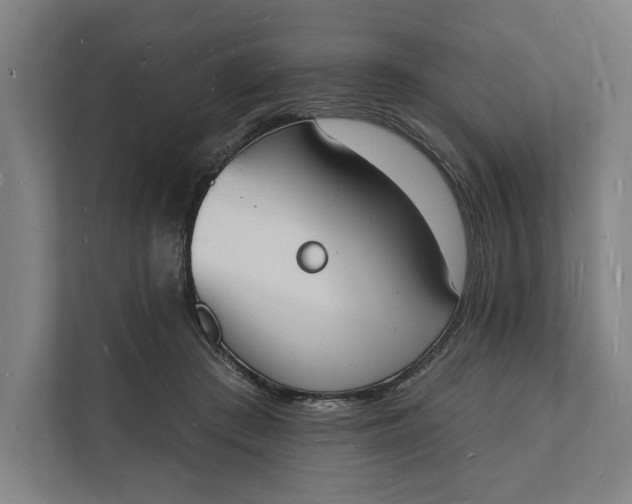 X0000112140409200908211357