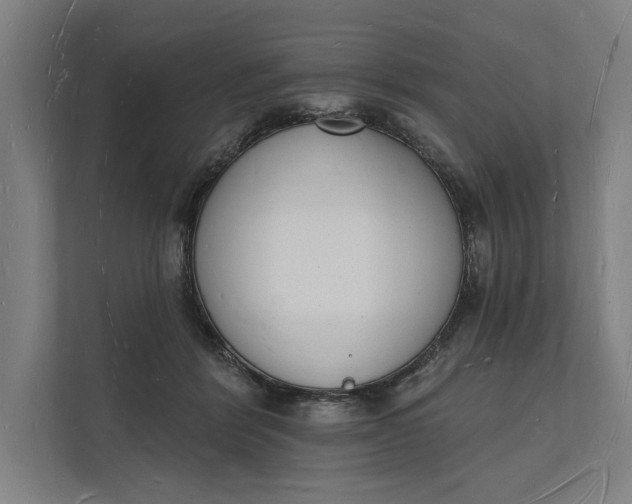 X0000112140412200908211357