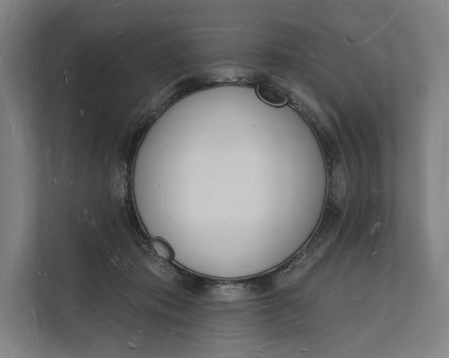 X0000112140413200908211357