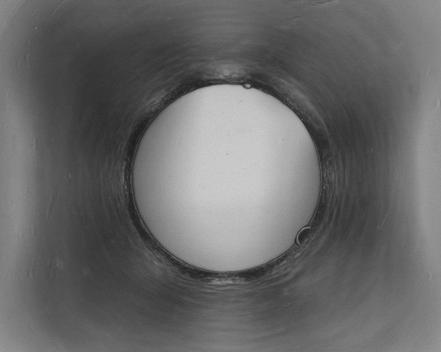 X0000112140415200908211357