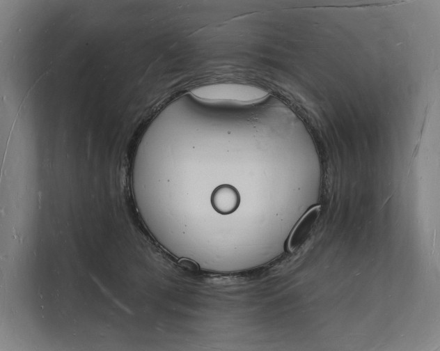 X0000112140417200908211357