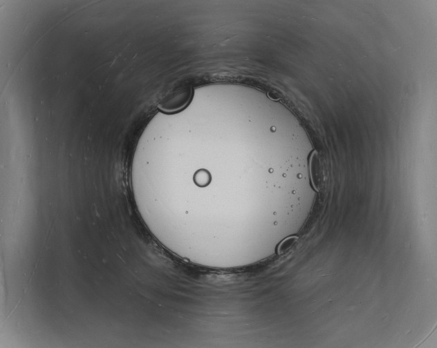 X0000112140419200908211357