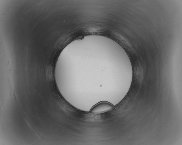 X0000112140421200908211357