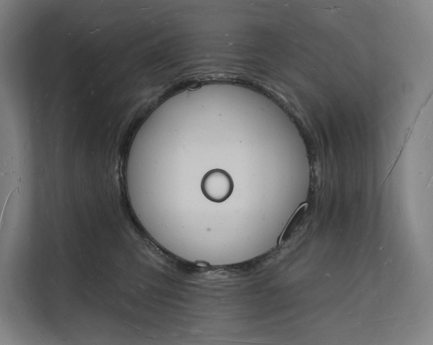 X0000112140423200908211356