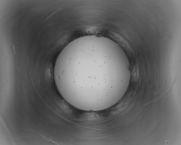 X0000112140424200908211356