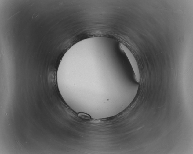 X0000112140425200908211356