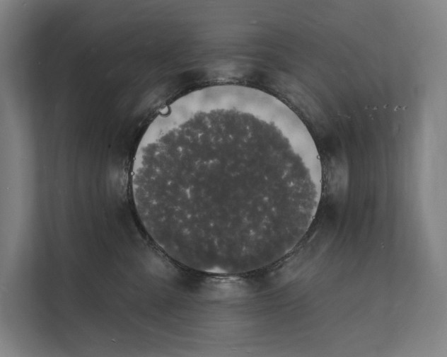 X0000112140427200908211356