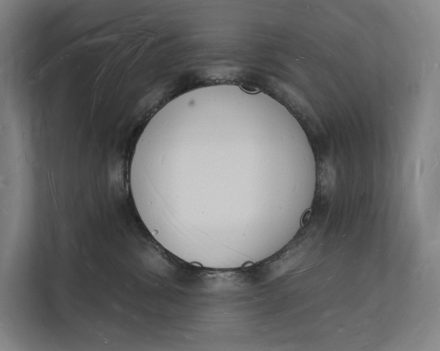 X0000112140428200908211356