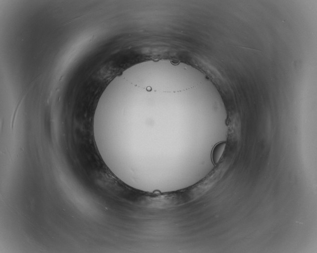 X0000112140430200908211356