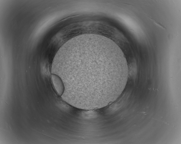 X0000112140431200908211356