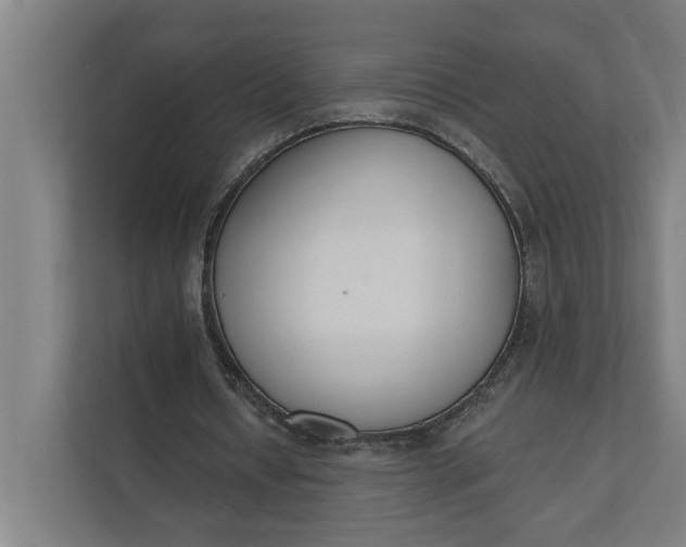 X0000112140434200908211356