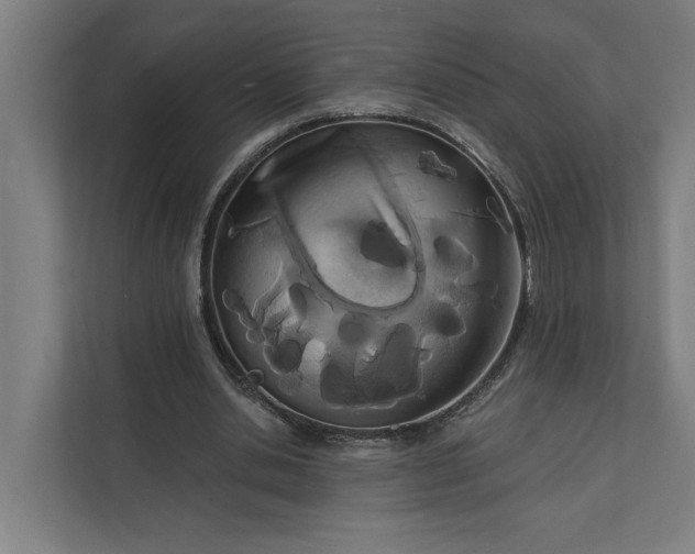 X0000112140438200908211356