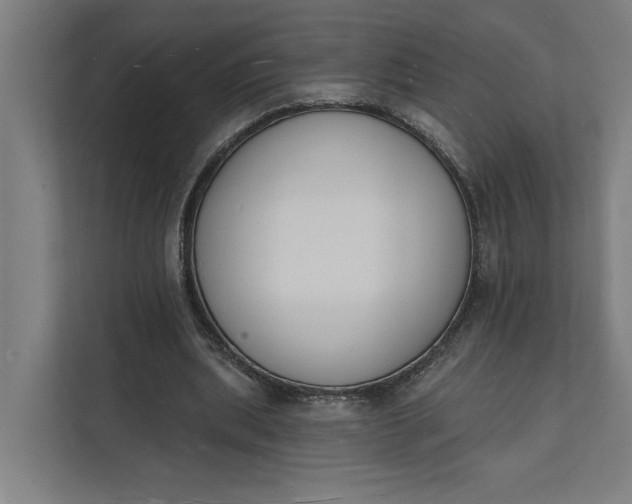 X0000112140439200908211356