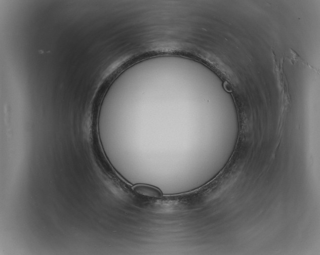 X0000112140440200908211356