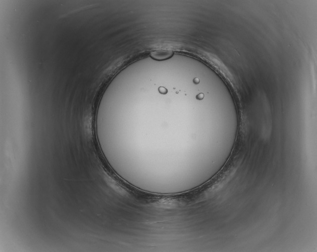 X0000112140441200908211356