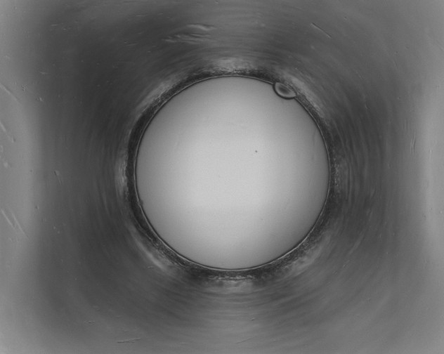 X0000112140443200908211356