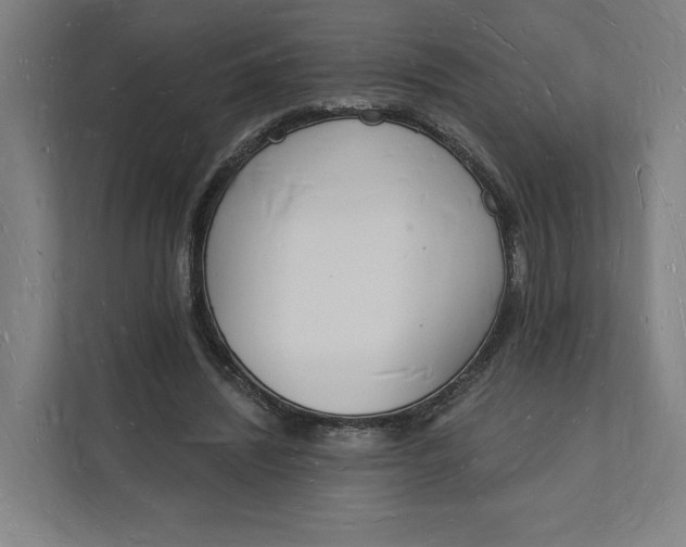 X0000112140444200908211356