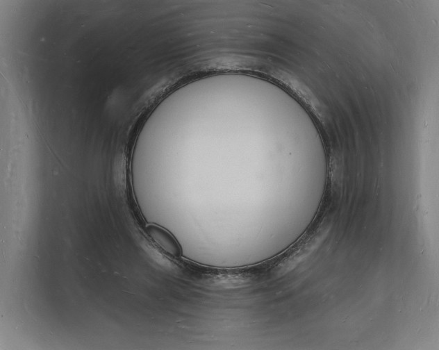 X0000112140445200908211356