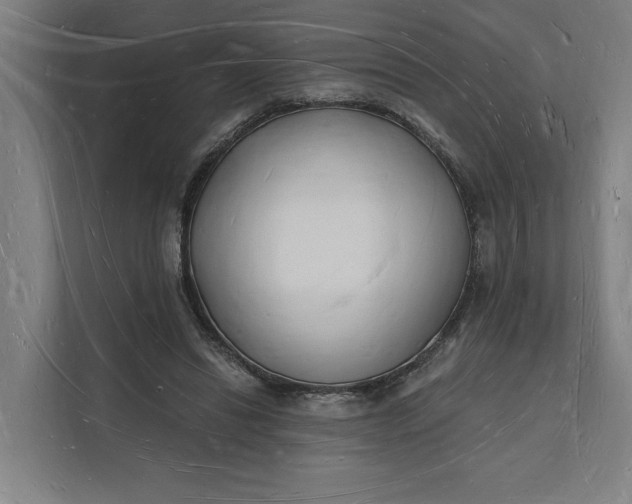 X0000112140446200908211356