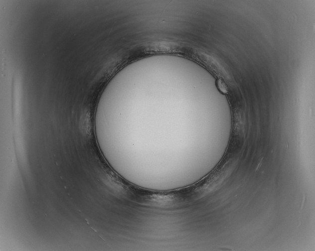 X0000112140457200908211356