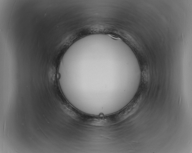 X0000112140458200908211356