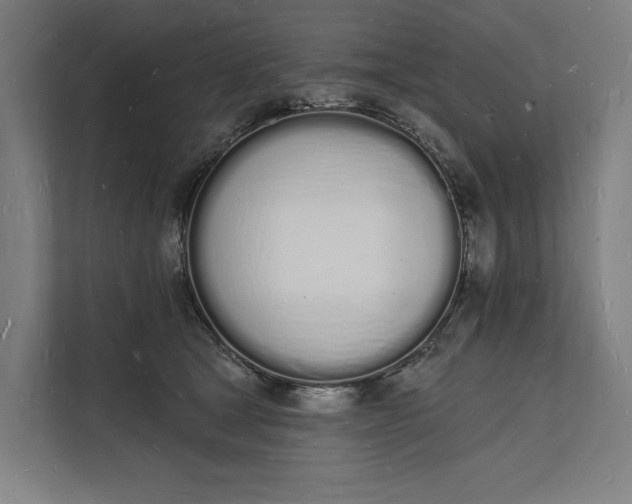 X0000112140465200908211356