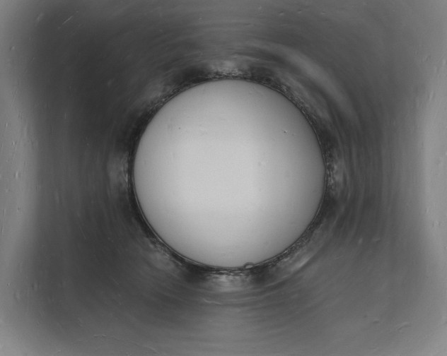 X0000112140466200908211356