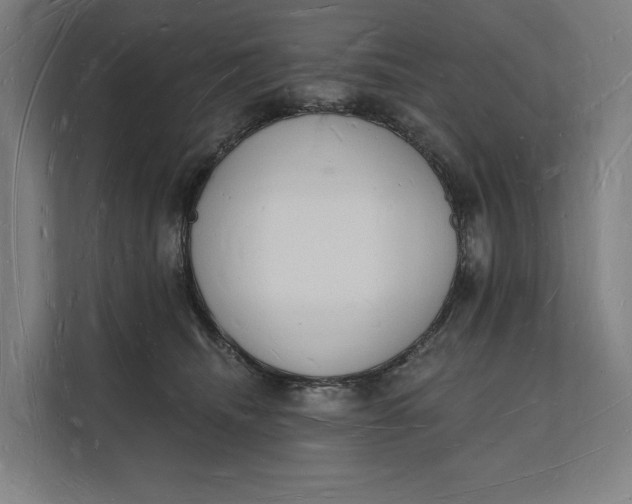 X0000112140468200908211356