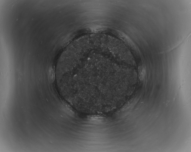 X0000112140471200908211356