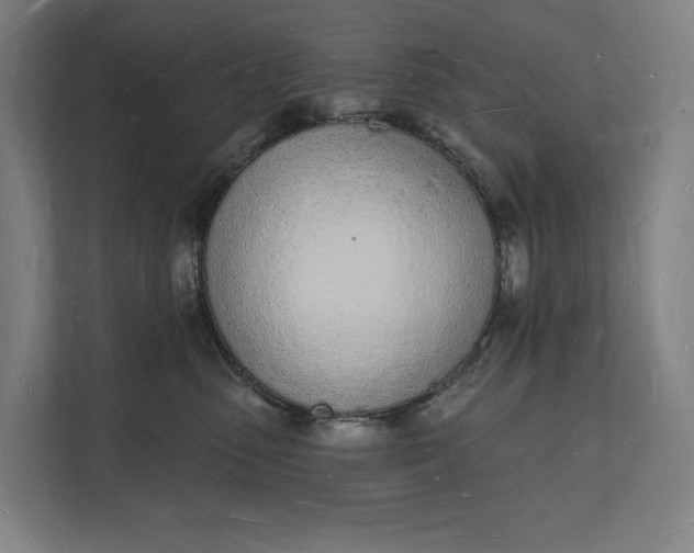 X0000112140475200908211356