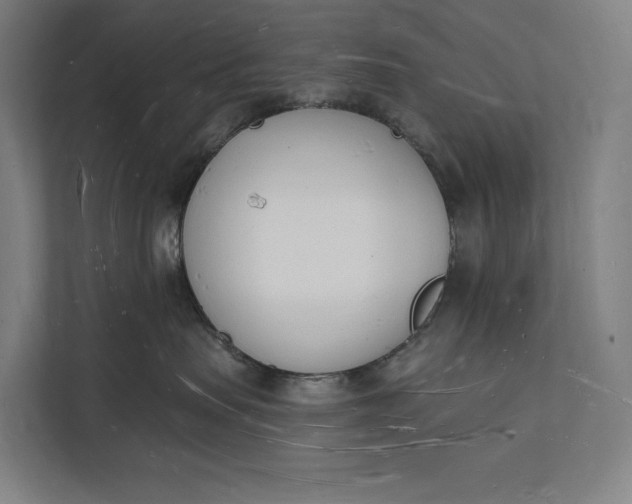 X0000112140479200908211356