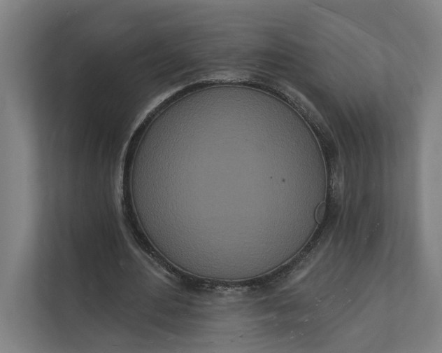 X0000112140484200908211356