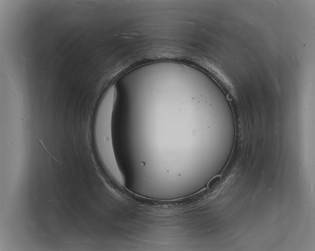 X0000112140489200908211356