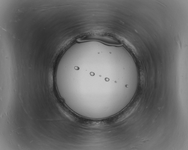 X0000112140493200908211356