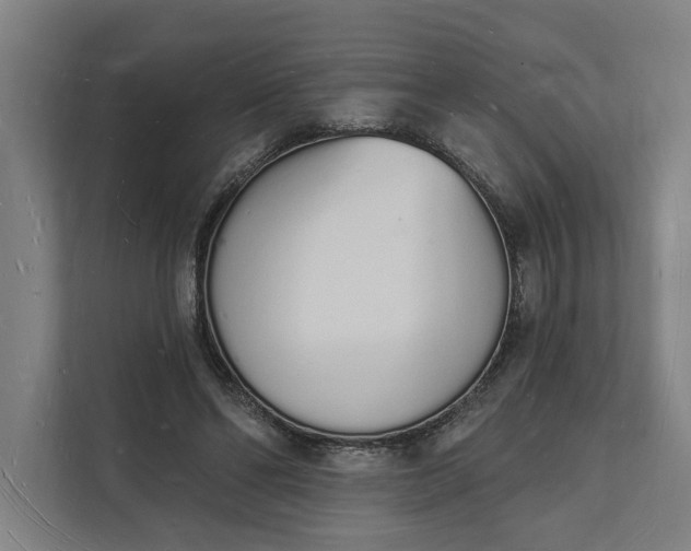 X0000112140494200908211356