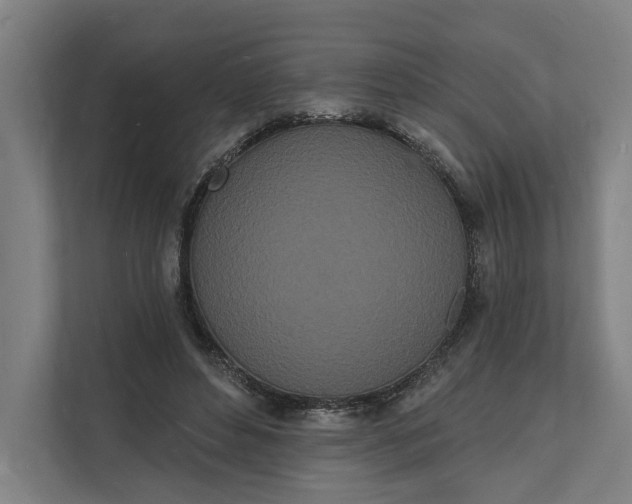 X0000112140496200908211356