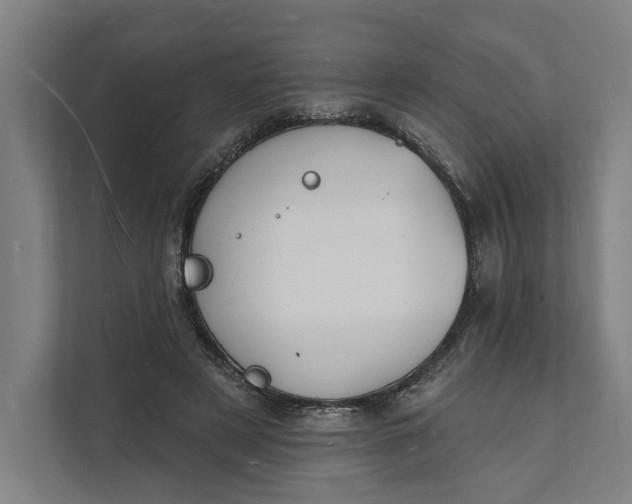 X0000112140497200908211356