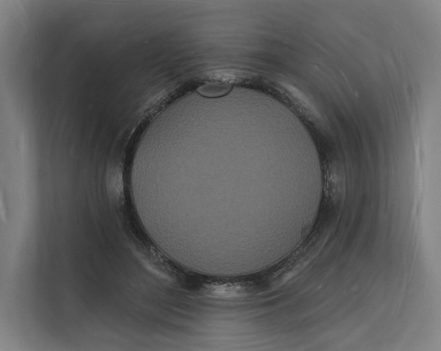 X0000112140500200908211355