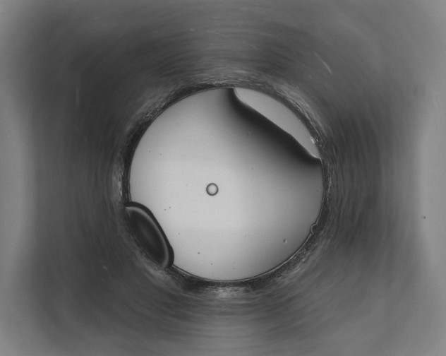 X0000112140501200908211355