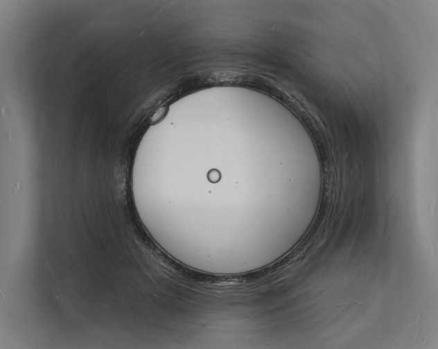 X0000112140505200908211355