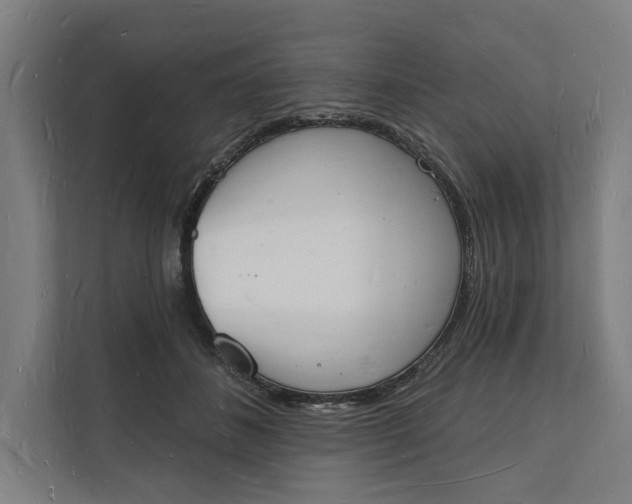 X0000112140508200908211355