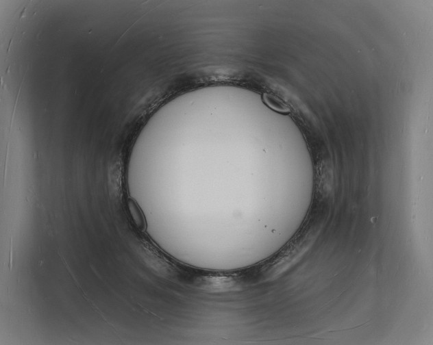 X0000112140509200908211355