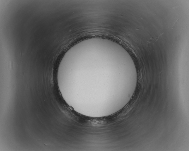 X0000112140512200908211355