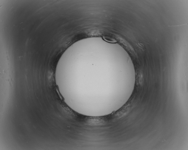 X0000112140521200908211355